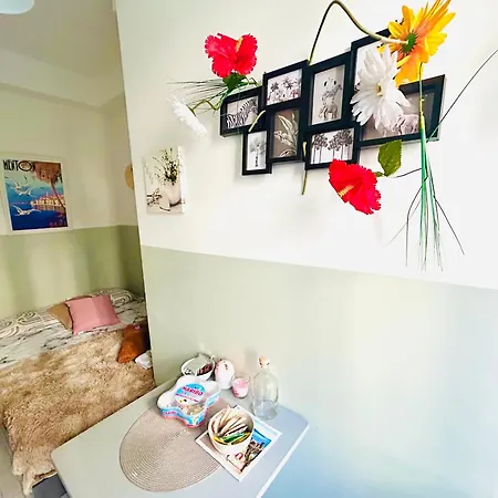 Cosy 尼斯